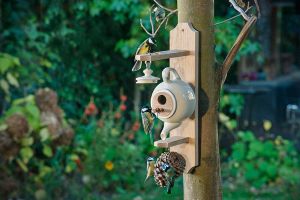 Oude theepot wordt vogelhuis